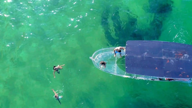 Los Cabos: Transparent Boat Tour with Optional City Tour - Meeting at the Cabo San Lucas Marina