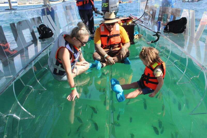 Los Cabos: Transparent Boat Tour with Optional City Tour - The 50-minute cruise: what you actually see