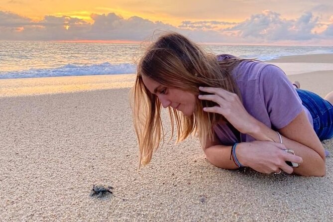 Los Cabos turtle release conservation program - What to bring and how to dress