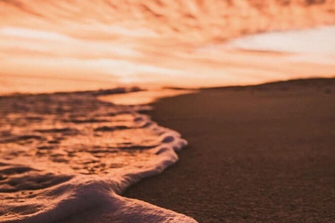 Los Cabos turtle release conservation program - The biggest concern: cancellations and refunds
