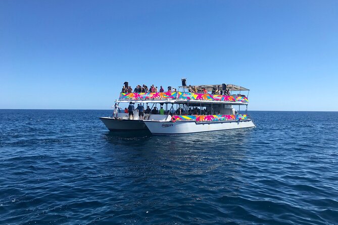 Los Cabos Whale Watching Cruise Including Breakfast - What the whale guarantee really means