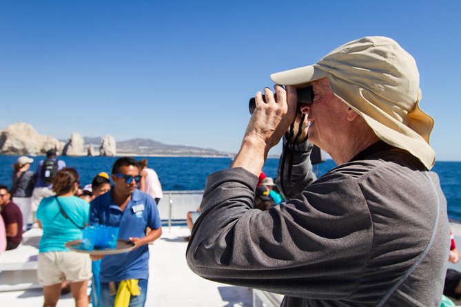 Los Cabos Whale Watching Cruise Including Breakfast - Is $99 a fair price for two hours?
