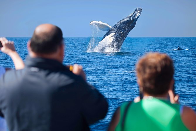 Los Cabos Whale Watching Cruise Including Breakfast - The Arch, Lovers Beach, and Cabo’s postcard coast