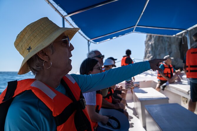 Los Cabos Whale Watching (Transportation and Pictures Included) - Timing, weather, and the best chance at activity