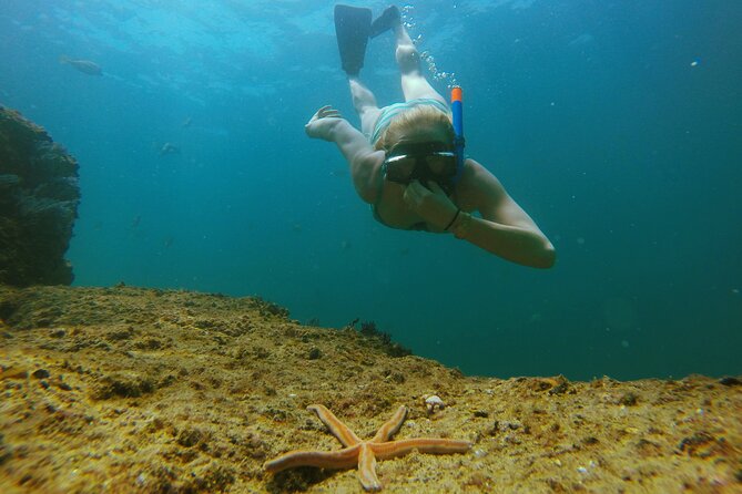 Luxury 42' Yacht Tour in Cabo for Snorkeling and Sunset - Who should book this Cabo yacht tour?
