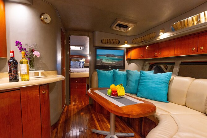 Luxury 42' Yacht Tour in Cabo for Snorkeling and Sunset - Cabo’s Arch, sea lions, and the Pacific coast