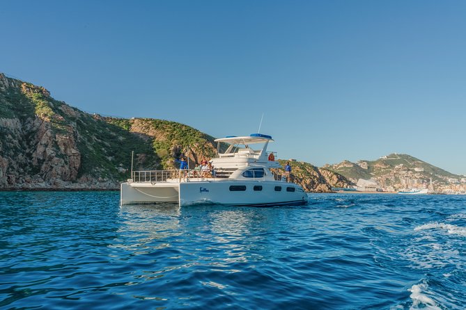 Luxury Catamaran Whale Watching Cabo San Lucas - From your hotel to the marina