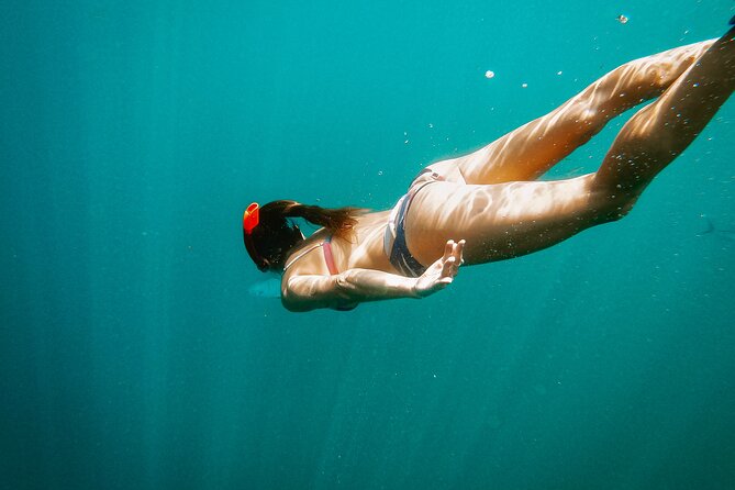 Luxury Snorkel Adventure in Cabo - Seeing El Arco From the Water