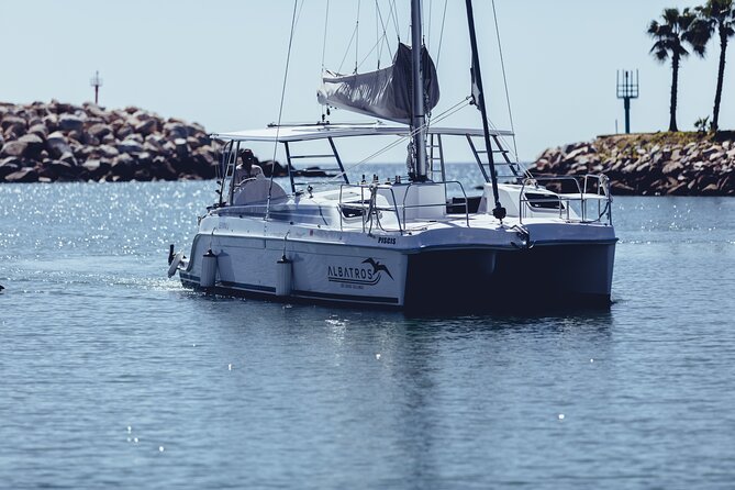 Luxury Snorkel Adventure in Cabo - Who Will Like This Cabo Sailing Trip?