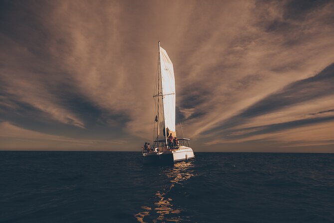 Luxury Whale Watch Cruise to The Arch Los Cabos - December through April is the whale window
