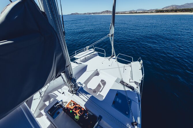 Luxury Whale Watch Cruise to The Arch Los Cabos - Stop one: Cabo San Lucas from the water