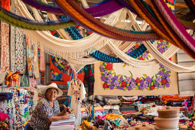 Magical Todos Santos Tour, Camel Ranch, Lunch and Tequila - Camels, photos, and the Tierra Sagrada ranch