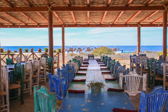 Magical Todos Santos Tour, Camel Ranch, Lunch and Tequila - Tequila and mezcal at the end of the outing