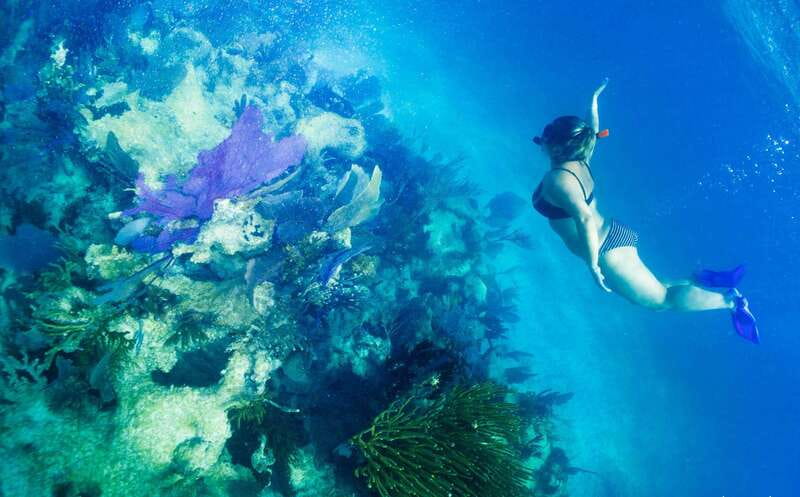 Mahahual: Snorkel Tour in Reef Lagoon - The briefing is part of the experience