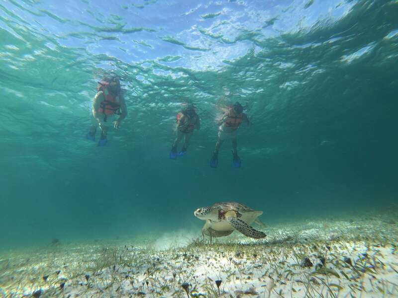 Mahahual: Snorkel Tour in Reef Lagoon - How the shallow water affects the experience