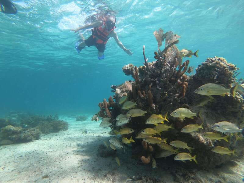 Mahahual: Snorkel Tour in Reef Lagoon - Who will get the most from this outing
