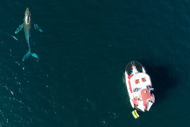 Marietas Islands National Park: Full Day ALL INCLUSIVE Tour - A party boat with a national park destination