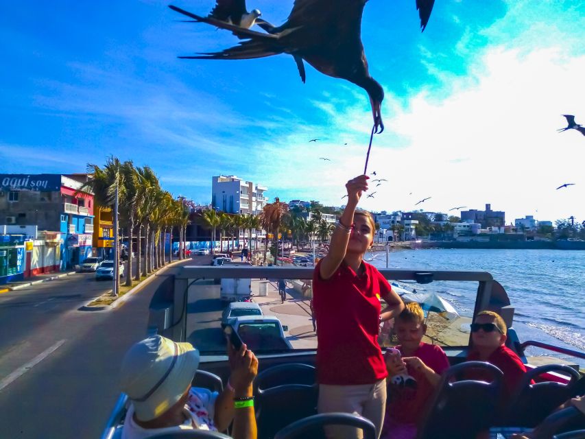 Mazatlán: Double-Decker Bus, Cliff Diving & Walking Tour - The Cathedral of the Immaculate Conception