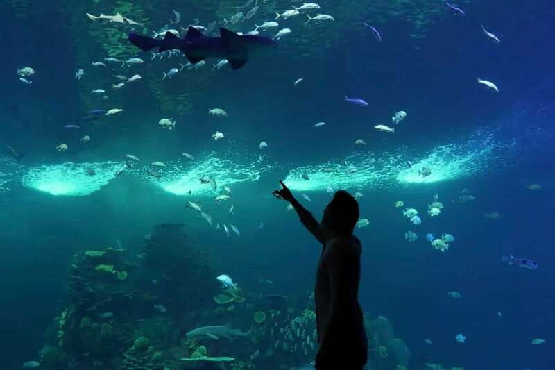 Mazatlan: Grand Aquarium Ticket and City Sightseeing Tour - Key points to know before booking