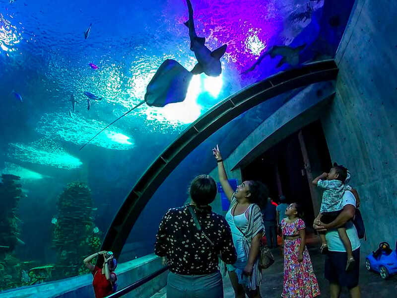 Mazatlan: Grand Aquarium Ticket and City Sightseeing Tour - How much value do you get for $98?