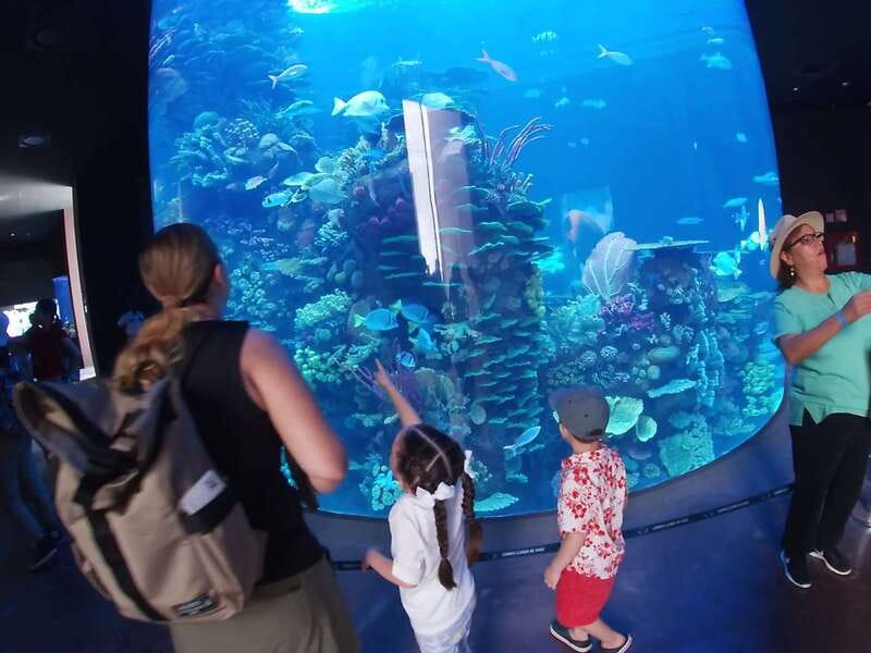 Mazatlan: Grand Aquarium Ticket and City Sightseeing Tour - The guide and group experience
