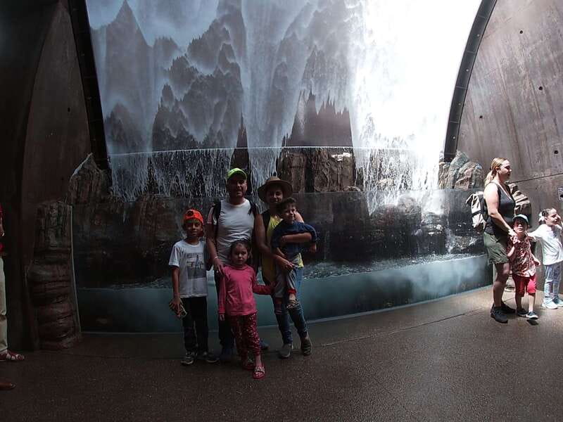 Mazatlan: Grand Aquarium Ticket and City Sightseeing Tour - Who should book this Mazatlán aquarium tour?