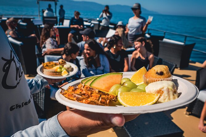 Mega Catamarans ALL INCLUSIVE Remote Paradise Beach Adventure - The ride home: music, wildlife, and a final burst of energy