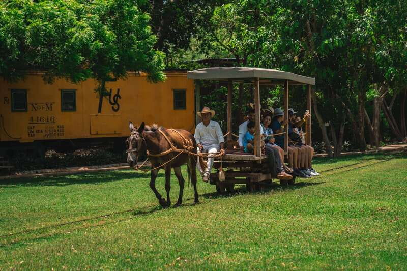 Merida: Hacienda Sotuta de Peon w/ Cenote & Henequen Tour - A restored hacienda with a working past