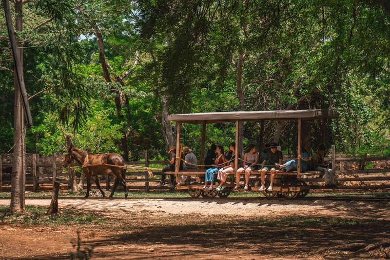 Merida: Hacienda Sotuta de Peon w/ Cenote & Henequen Tour - Lunch and the KIH dining stop