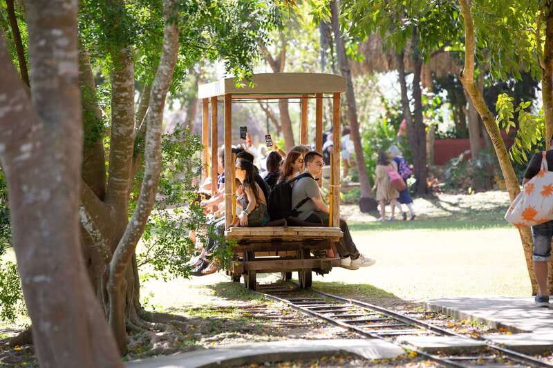 Merida: Hacienda Sotuta de Peon w/ Cenote & Henequen Tour - How long the outing really takes