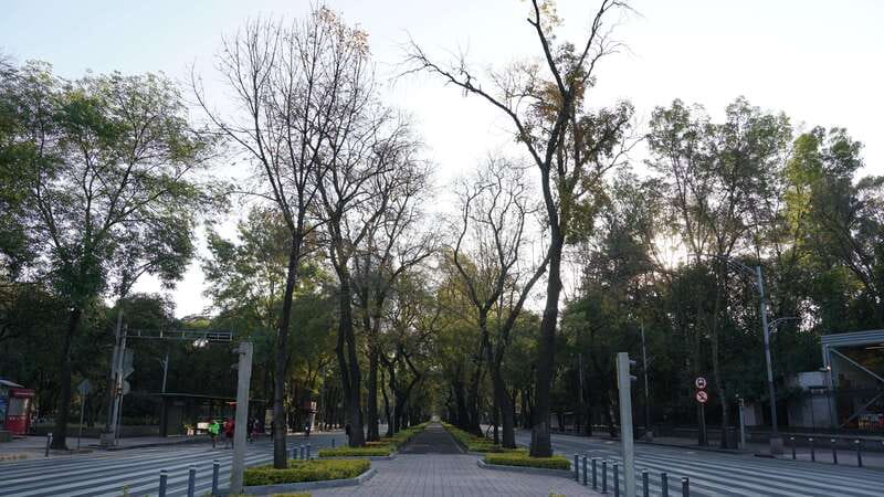Mexico City: 19 City Highlights Bicycle Tour - Who should book it?