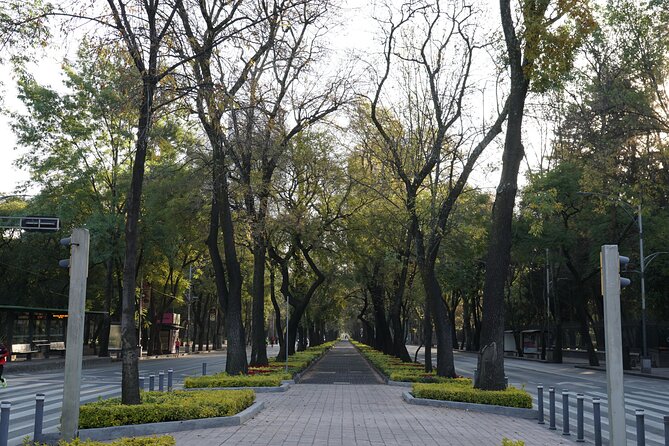 Mexico City: 19 City Highlights Bicycle Tour - Alameda Central and the Historic Center