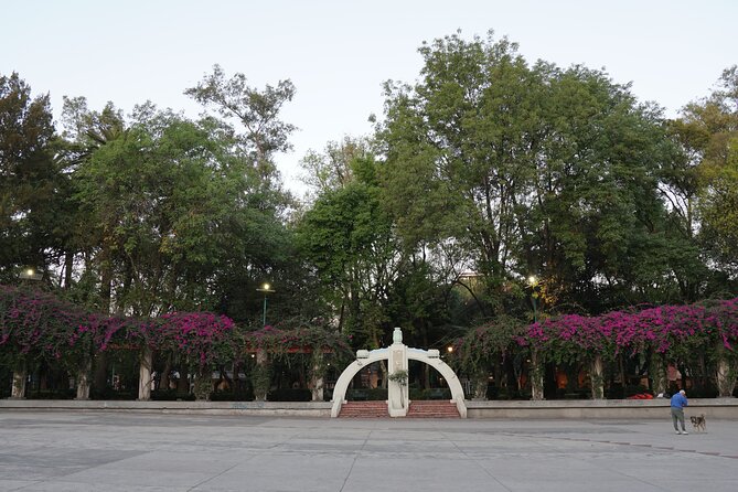 Mexico City: 19 City Highlights Bicycle Tour - Bikes, helmets, and safety