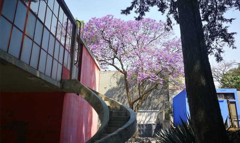 Mexico City: Frida Kahlo-Diego Rivera Studio House Tour - More than a Frida and Diego stop