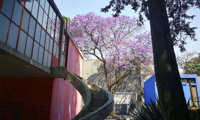 Mexico City: Frida Kahlo-Diego Rivera Studio House Tour - Hotel pickup makes the morning easier