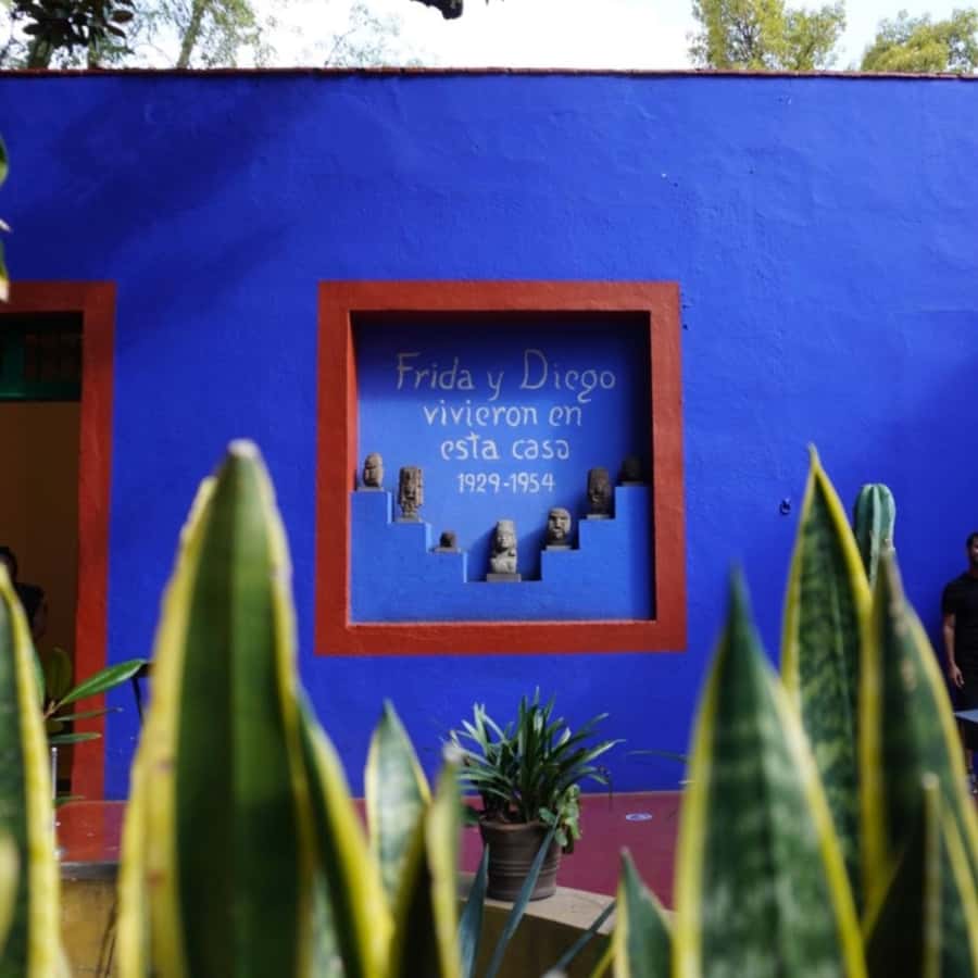 Mexico City: Frida Kahlo Museum Tour - Key points to know before visiting Casa Azul