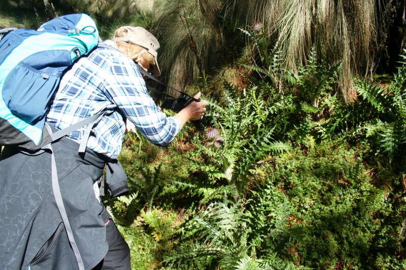 Mexico City: Guided Volcano Trek with Lunch - Cerro Altzomoni and the effort of altitude