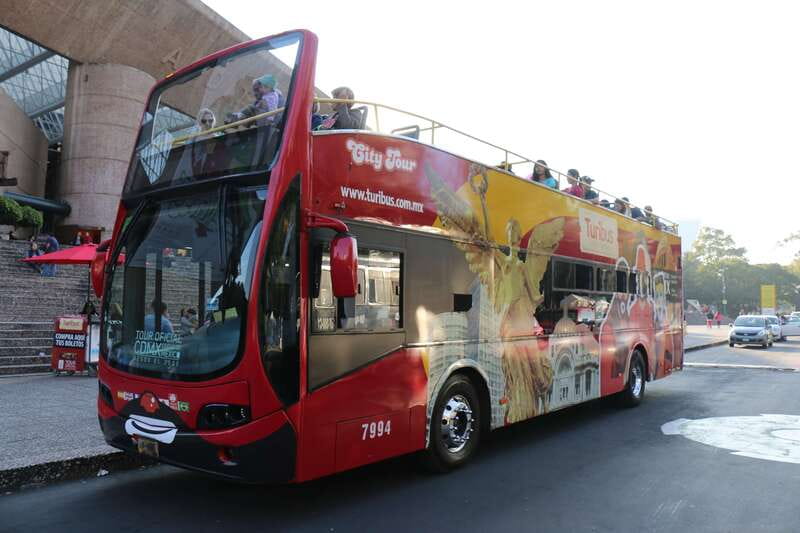Mexico City: Hop-on Hop-off Bus Tour - South Route: Coyoacán, Frida Kahlo, and the UNAM area