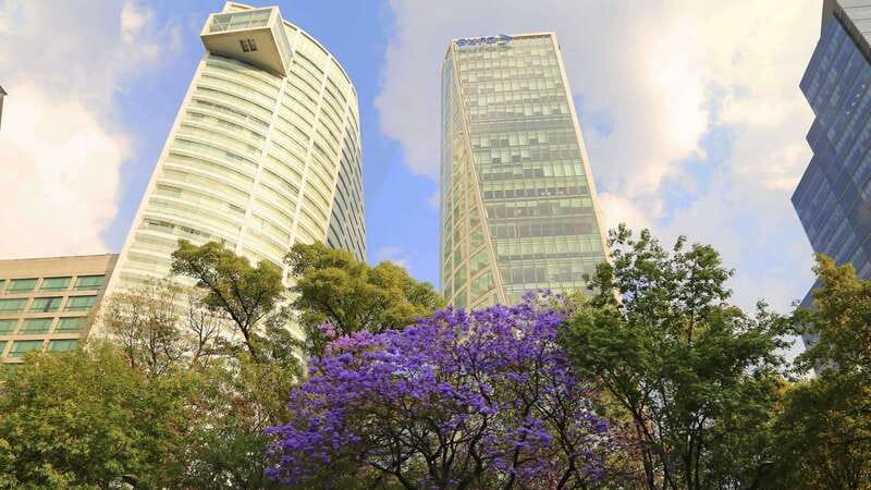 Mexico City: Hop-on Hop-off City Tour by Turibus 1-Day Pass - What $20 buys you