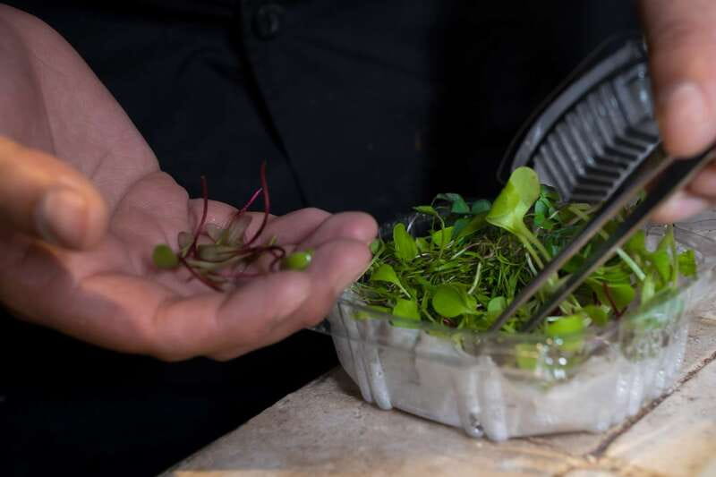 Mexico City: Mexican Cooking Class - The chefs make the difference