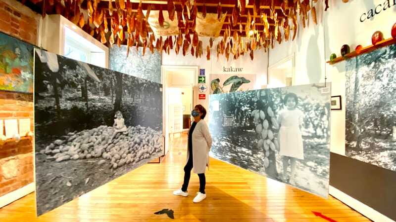 Mexico City: MUCHO Museum of Chocolate Entrance Ticket - Creative Displays and Possible Workshops