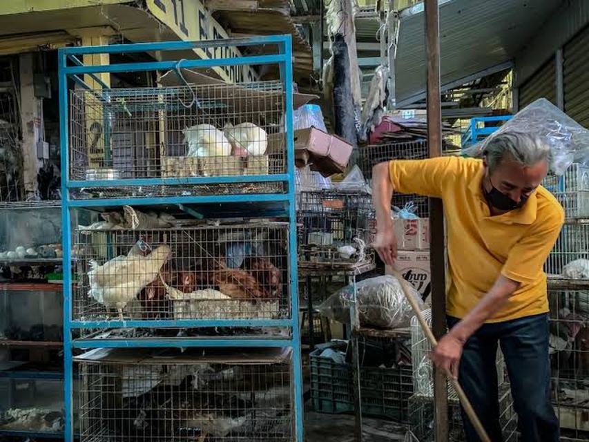 Mexico City: Mystic Markets La Merced & Sonora Culinary Tour - Walking, safety, and what to carry