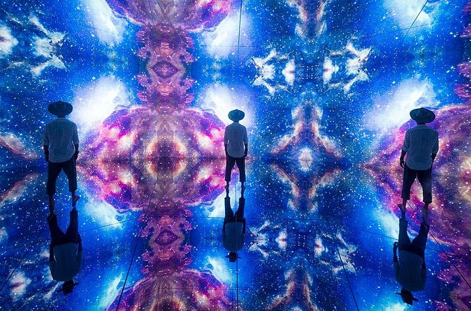 Mexico City: Mystika Inmersivo Entrance Ticket - Monarch Butterflies and the Rhythm of Change