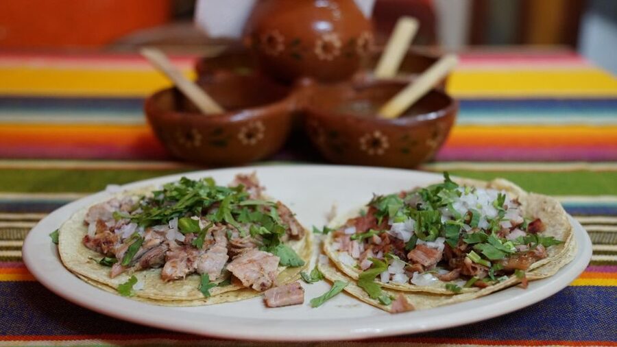 México City: Street Food to Home Cooking Food Tour - Best timing for your Mexico City visit