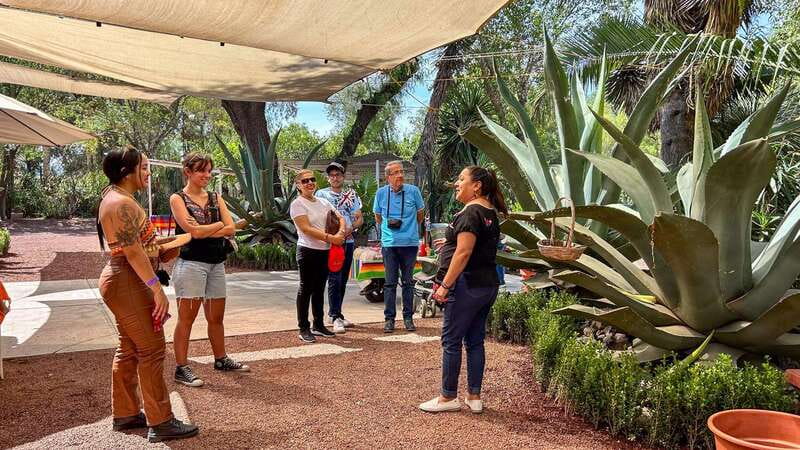 Mexico City: Teotihuacan, Tlatelolco & Basilica of Guadalupe - Why this day trip works for first-time visitors