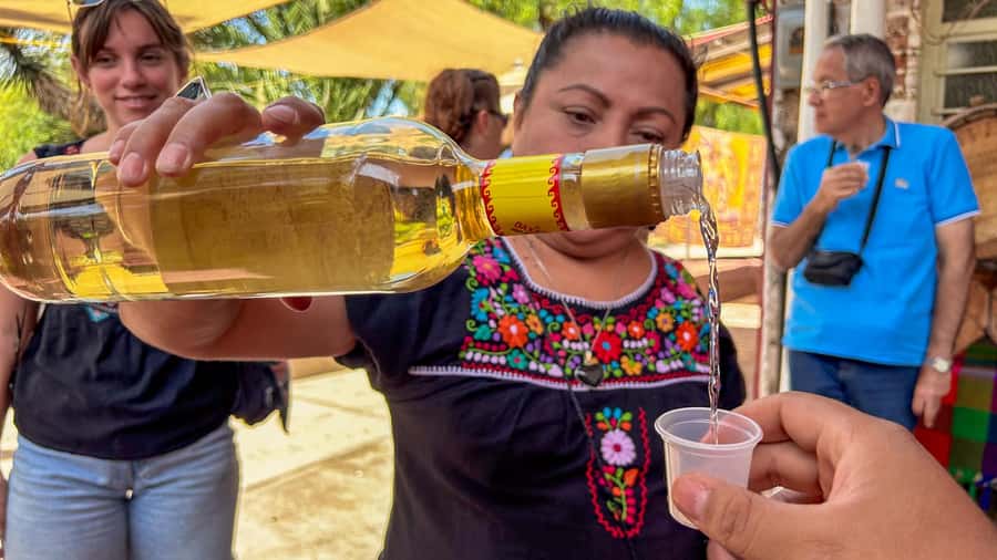 Mexico City: Teotihuacan, Tlatelolco & Guadalupe Shrine Tour - What to bring and how to prepare