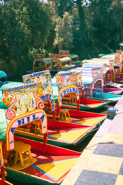 Mexico City: Xochimilco Boat with Guacamole & Premium Drinks - Key points before you book