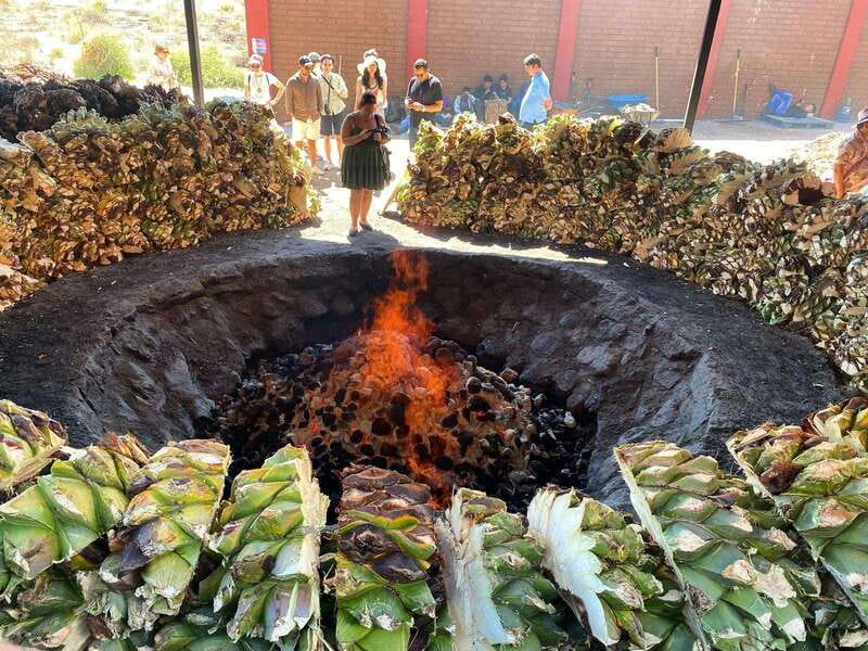 Mezcal Tour Oaxaca - Key points to know before booking
