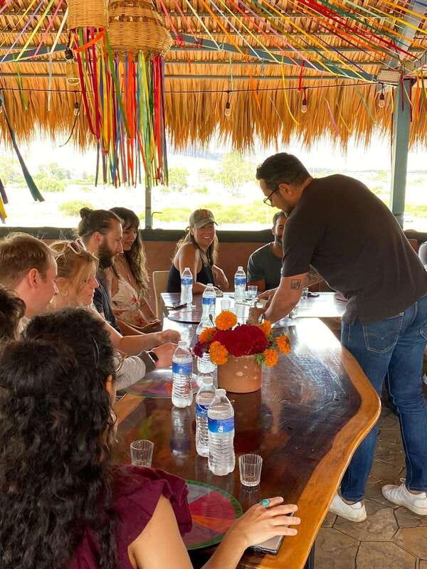 Mezcal Tour Oaxaca - Walking through the agave plantation