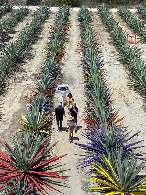 Mezcal Tour Oaxaca - Learning from a mezcal maestro